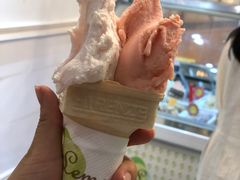 -柠檬车露(卖草地店)