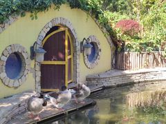 -南宫五洲植物乐园