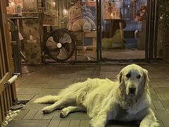 -咖法森林·咖啡  酒吧(天河店)