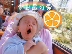 -合肥滨湖国家森林公园