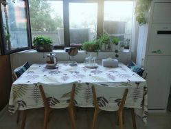 -安那般那皮肤年轻化ANAPANA