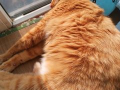 -为你钟情咖啡馆(春熙路太古里步行街店)