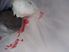 -旺福楼·包点(碑亭巷店)