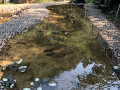 -遂昌金矿国家矿山公园