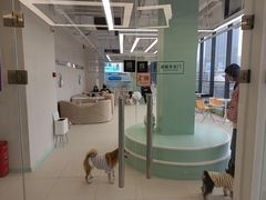 -怪兽屋·羊驼·猫咖·狗咖(俊华广场店)