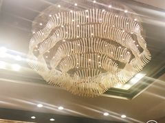 -天津津利华酒店