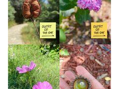 -北京西山国家森林公园