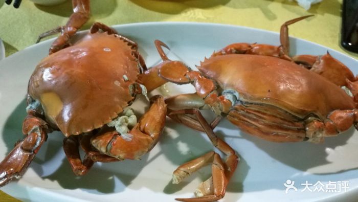 元中元湛江海鲜餐厅膏蟹图片