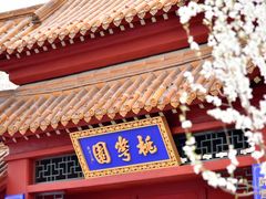 -桃花堤公园