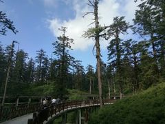-瓦屋山景区