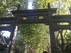 -杭州黄龙洞