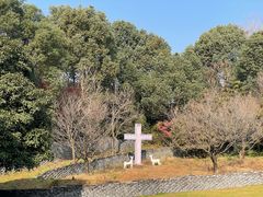 -美丽洲堂