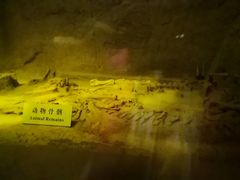 -汉景帝阳陵博物院