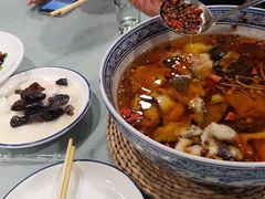 -听涛雅苑百味饺子老家菜馆