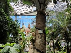 -呀路古热带植物园