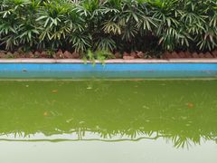 -三峡古玩城(泰古广场店)