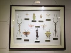 -上海昆虫博物馆