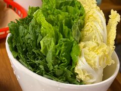 -禄婶鸡煲·打边炉