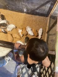 -酷嗒动物文化乐园(cutezoo西溪乐天城店)