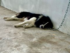 -东天目山风景区