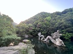 -午潮山国家森林公园