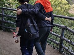 -十渡东湖港风景区