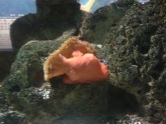 -苏州海洋馆