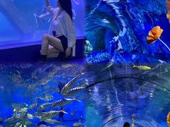 -重庆欢乐海底世界
