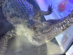 -海韵之星邮轮水会(明发商业广场店)