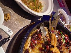 -老板恋上鱼(恒隆广场店)