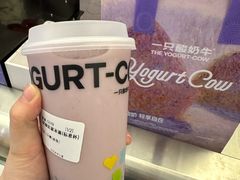 -一只酸奶牛(兰州中心店)