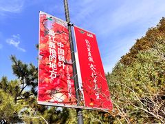 -丹东天桥沟景区