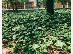 -中国浦东干部学院