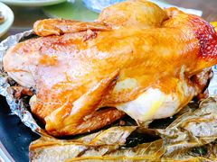 -广州市流溪河国家森林公园