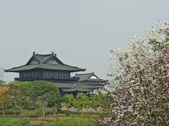 -海珠湖公园