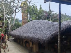 -海南槟榔谷黎苗文化旅游区