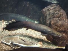 -太平洋海底世界