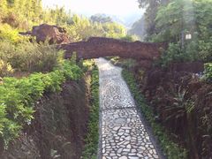 -韶关经律论国际酒店温泉