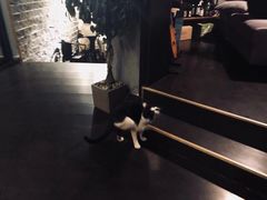 -虚荣精酿酒屋(五羊店)