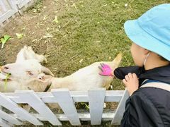 -前小桔亲子创意农场·草莓采摘·露营烧烤