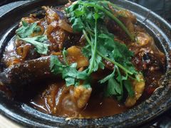 麻辣鲶鱼煲-川香煲(茅台路店)