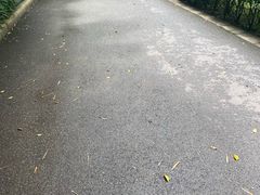 -晓港公园