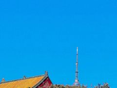-湛山寺