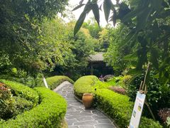 -腾冲洞山温泉村
