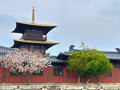-广富林郊野公园