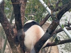 -无锡动物园·太湖欢乐园