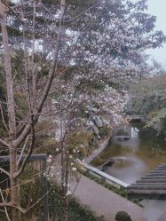 点击看大图 -莲生母婴月子中心(清水河公园店)