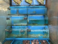 -老东镇啤酒屋海鲜加工·蒸汽海鲜·海鲜烧烤(台东店)