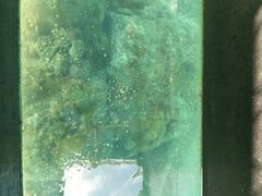-亚龙湾海底世界