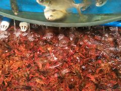 -AEON永旺(东方宝泰店)